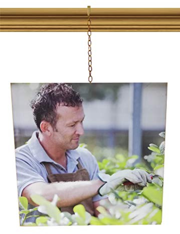 Brass Gold Chain Picture Hanging System Moulding Hook for Traditional Victorian Dado Rail (kit with 3 Meter Long Chain)