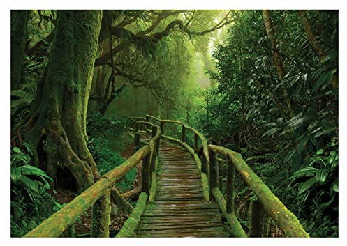 Fototapete Wald 3D Effekt Waldweg Brücke Bäume Dschungel Pflanzen - inkl. Kleister - für Wohnzimmer Schlafzimmer Flur Vlies Tapete Vliestapete Wandtapete Motivtapeten Montagefertig (368x254 cm)