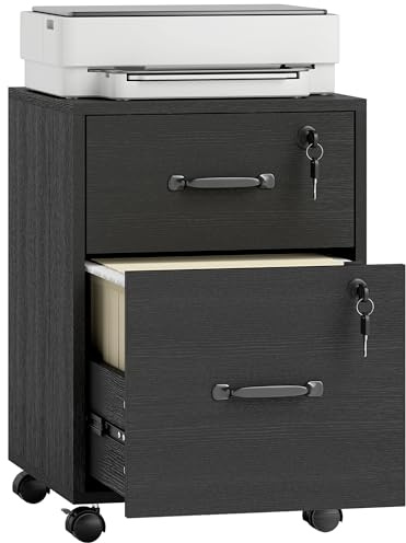 HOMCOM Rolling File Cabinet with 2 Drawers, Mobile Filing Cabinet with Hanging File Folder for Letter Sized Documents, Black