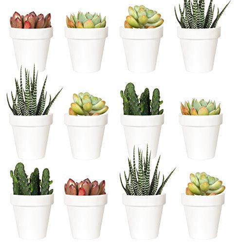 Youngever 24 Pack 5CM Mini Plastic Planters, Indoor Flower Plant Pots, White Gardening Pot with Drainage - NO Plant Included (Classic)