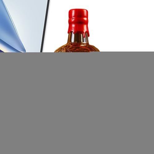 Garrafa de whisky | 300 ml alcohol descantante | cierre hermético almacenamiento para vino bebidas en casa presentación comercial