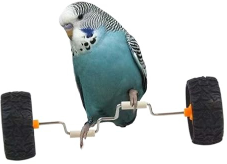 Sghtil Bicicleta De Equilibrio para Loros - Rodillo De para Jaula De Aves | Suministros Deportivos Divertidos para Cacatúas con Percha De Madera para Exhibición En Mesa | Tienda De Mascotas