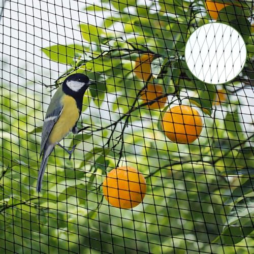 6x10m Malla Antipajaros, Red Pajaros Proteccion, Red para Pajaros, Red Antipajaros, Red de Jardín, Redes de Caza Pajaros, Red para Arboles Frutales, Protege Plantas, Flores, Estanques, Fruta, Negro