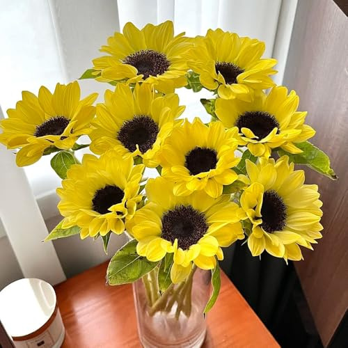 semillas de girasol perennes resistentes - silvestres extremadamente cubren 500pcs