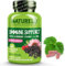 NATURELO Immune Support – Vitamin C, Elderberry, Zinc – Best Natural Vitamin C Boost with Antioxidant, Herbal & Mineral Defense - 60 Vegan Capsules | 2 Month Supply