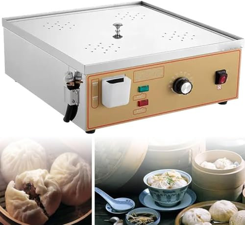 JJENXYYDS Cuiseur Vapeur électrique pour Aliments,2 Trous/4 Trous/6 Trous, Chauffage en Tube en U avec Système d'alimentation en Eau Indépendant,Alarme D'éBullition à Sec,pour Cuisson,Four-Hole