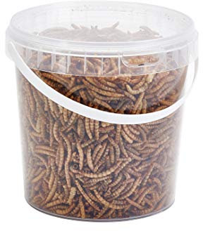 Pet Ting Premium Dried Mealworms, 1 Liter Tub