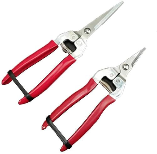 Samnuerly Tijeras para Flores, Tijeras de podar manuales, recortadoras de árboles, podadoras de Mano, podadoras de Mano multitarea, Tijeras de jardín para floristería y Nariz de Aguja