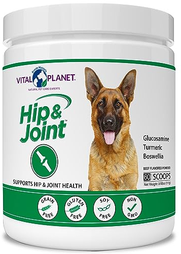 Vital Planet - Hip and Joint Support Powder Supplement for Dogs, with Glucosamine, Turmeric, Boswellia, MSM, and Collagen from Green-Lipped Mussel - Beef Flavored Powder, 60 Scoops, 111 Grams