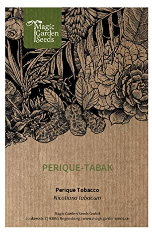 Tabaco Perique (Nicotiana tabacum) - aprox. 500 semillas