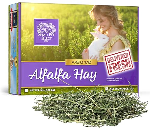Small Pet Select Alfalfa Hay Pet Food for Young Rabbits, Guinea Pigs, Chinchillas, Tortoises and Other Small Animals, Easy to Store Box, 5lb (2.27kg)