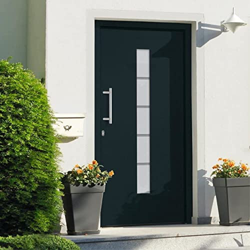 vidaXL Eingangstür Haustür Wohnungstür Nebeneingangstür Außentür Tür Kellertür Mehrzwecktür Schlüsselsatz Alu Aluminium PVC Anthrazit 100x200cm