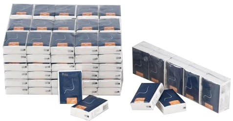 Fabnati Mini-Reise-Gesichtstücher, 100 Stück, 4-lagig, weiche Taschentücher im Taschenformat