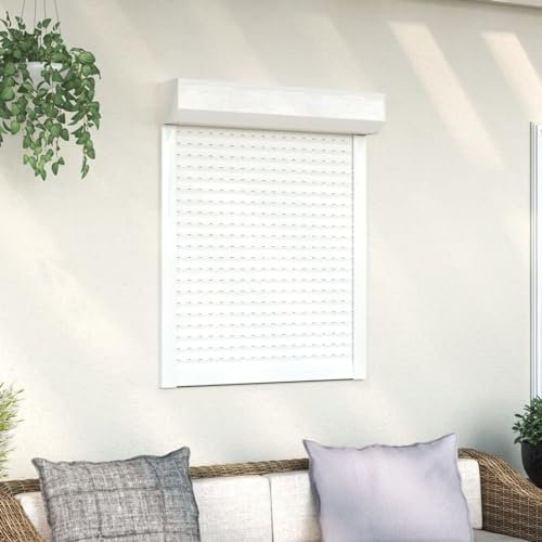 LAPOOH Tapparella avvolgibile in alluminio 70 x 100 cm, bianco, tende avvolgibili, in alluminio, veneziane, 144964