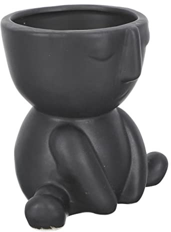 CIYODO Vaso Da Fiori in Ceramica Da Tavolo Per Fiori Da Piantare Da Giardinaggio Per Piante Grasse