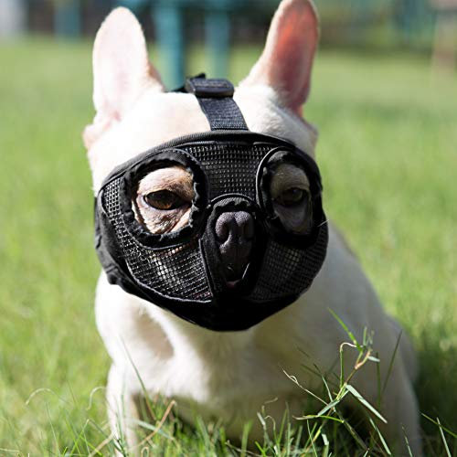 JYHY Maulkorb für Hunde mit abgeflachter SchnauzeFranzösische Bulldogge Maulkorb -verstellbar, atmungsaktiv: Französische Bulldogge, Pekingese, Shih-Tzu, Mops (Schwarz, M(28-43cm))