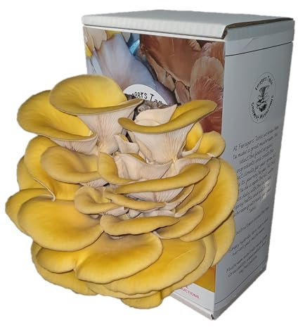 Gold Oyster Mushroom Growing Kit | Gardening Gifts - Ready to Grow Mushrooms Kit | Fun to Grow & Delicious to Eat | Gold Oyster Grow Kit | Grow Your Own Kits - Mushroom Gifts | Foragers Table