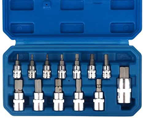 DAYUAN Hex Bit Socket Set Premium S2 Alloy Steel, 13-Piece Metric 2-14mm Allen Socket Kit