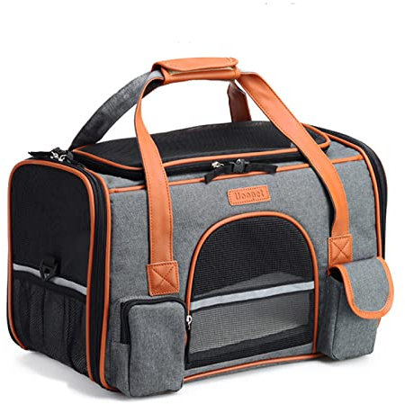PETCUTE Transportbox Katze und Hunde,Katzentransportbox mit Abnehmbare Matte,Faltbare Atmungsaktiv Katzentasche mit Reflektierender Streifen,Verstellbarer Schultergurt,Airline Genehmigt