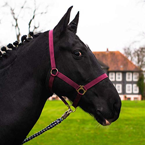 Halter for Horses Warmblood, Thoroughbred, Cold Blood - Stable Halter, Pasture Halter, 2 Adjustable Positions on Chin Strap and Headpiece, Safe & Tear-Resistant (Bordeaux, Cold Blood)