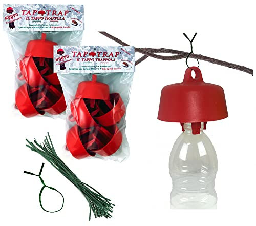 TAP-Trap® MB PRO SRLS Rote 10 Stück Original-Fallenkappen, schützt Brombeeren, Himbeeren, Pflaumen, Kirschen vor der Fruchtfliege Drosophila, Suzuki, Wespen und Hornissen (10 Stück rot)