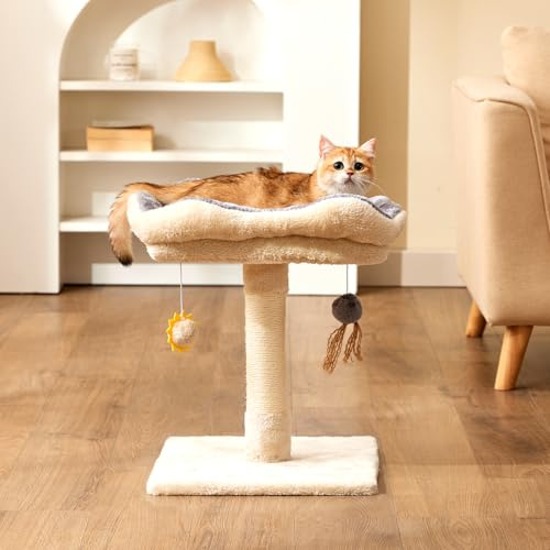 Gardner husdjur litet katträd för kattungar, 51 cm klösstolpe med säng, katträd med söt mjuk abborre och leksaksbollar, kattunge klösstolpe med vävd sisial, avtagbar molnsäng (beige, fyrkantig plysch)