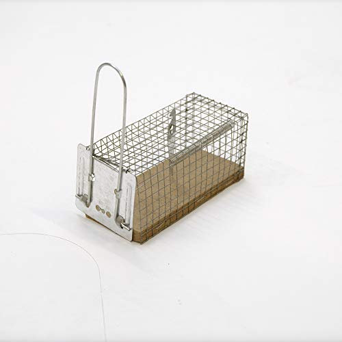 Nasse à Rat - Socle en Bois