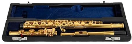 tvärflöjt instrument Flöjt Professional C Key 17-håls flöjtmusikinstrument