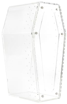 Recinto de araña saltarina, Puerta magnética, 10x10x20cm, hábitat de Reptiles de acrílico Transparente, Vitrina de tarántula, ampliamente Compatible, para enseñanza en el hogar, Proyecto Escolar
