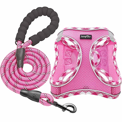 haapaw Juego de arnés y Correa para Perro, sin Tirar, Ajustable y Reflectante para Cachorros, Chaleco Acolchado para Perros Extra pequeños/pequeños medianos Rosa S