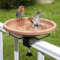 Hanizi Baignoire pour Oiseaux, 30,5 cm, Balustrade de Balcon, Bains d'oiseaux Non chauffés, Baignoire pour Oiseaux, Pince Amovible