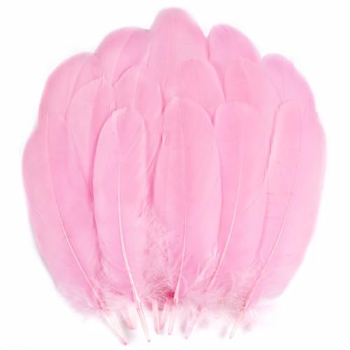 Holmgren Pink Goose Feathers Bulk - 200pcs 5-7inch White Feathers for Crafts DIY Dream Catchers, Angel Wings and Wedding Party Christmas Home Decoration (Pink)