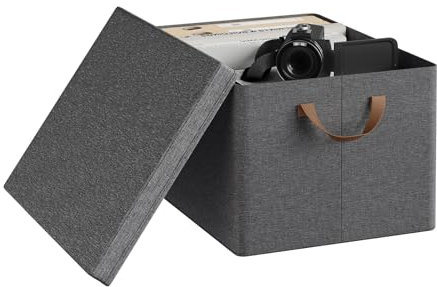 WOLTU Aufbewahrungsbox mit Deckel 1 Stück, aus Polyesterstoff, für Schlafzimmer, Arbeitszimmer, Wohnzimmer, Organizer Box mit Griffen, faltbar, Grau, 43x26x33 cm