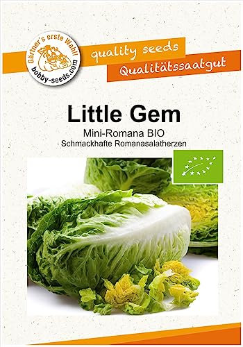 BIO-Salatsamen Little Gem Mini-Romanasalat Portion