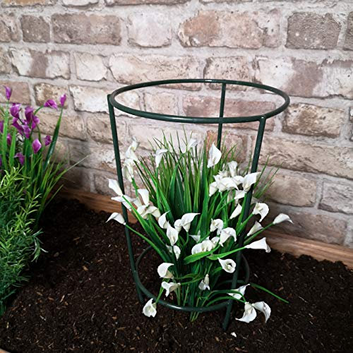 Samuel ALEXANDER Urban Green Conical Garden Plant Support Ring 20cm- Small