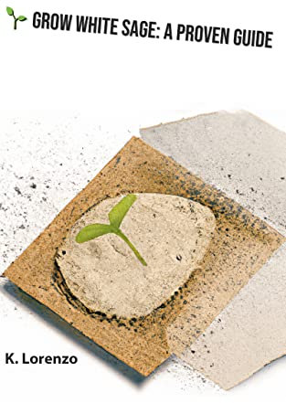 Grow White Sage: A Proven Guide