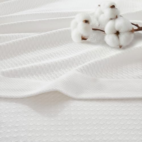 Madison Park Queen Blanket Egyptian Cotton Summer Cozy Full Size White