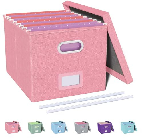 Oterri File Organizer, File Box, File Cabinet for Letter File Folder Storage, Portable Storage Bins with Lids for Office/Decor/Home, 1 Pack, New-pink-Box only