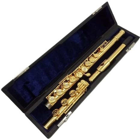 tvärflöjt instrument Professionell flöjt 17 hål öppen