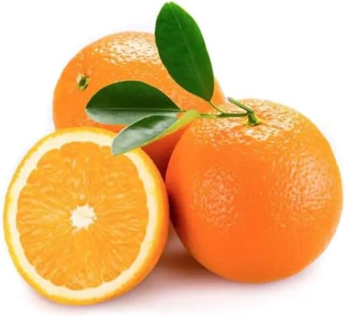 Arance Navel Salentine - Fresche e 100% Italiane - Ideali per Spremute e Consumo Fresco (5 Kg)