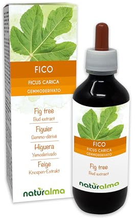 Figuier (Ficus carica) Gemmo-dérivé sans alcool à base de bourgeons frais Naturalma - Extrait liquide gouttes 200 ml - Complément alimentaire - Végétalien ou végan