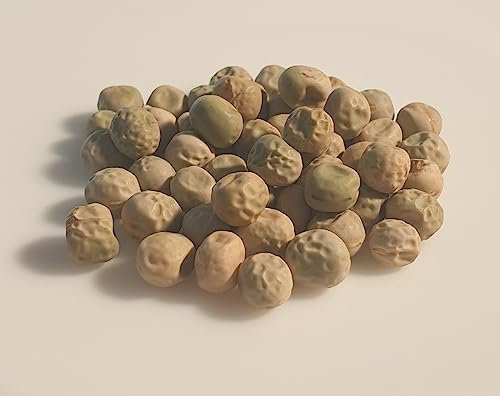 75 grammes de graines à semer - Le Grenier d'Abondance - POIS Nain Petit Provençal - Pisum sativum