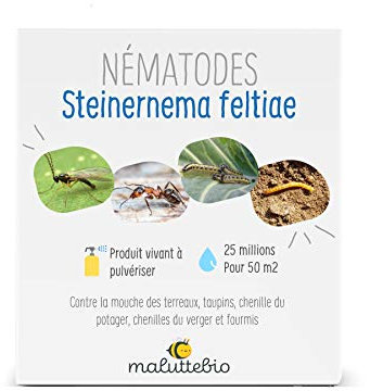 Nématodes SF Anti Mouches des terreaux, taupins, chenilles du Potager et verger et Fourmis - 25 millions (pour 50 m²)