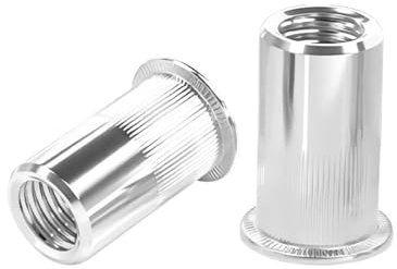 Qrity 20 Stück Edelstahl Flachkopf Nietmuttern, NietMutter Einsatz, Nietmuttern, Rivet Nutsert Cap, Blindnietmuttern, M10 Muttern