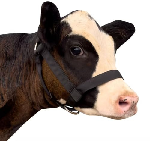 perixir Cow Halter Cattle Halters Calf Halter，Adjustable Nylon Livestock Cattle Halter，for Miniature Horse Donkey Goat Foal (Black, Large)