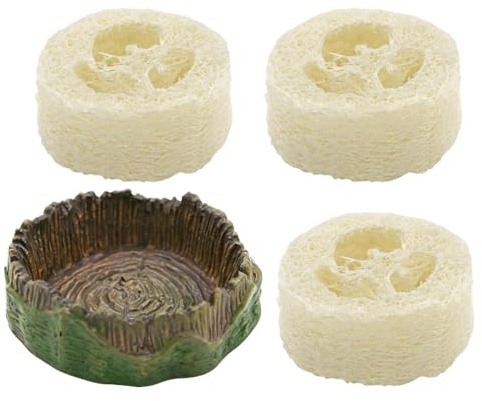 Plato de agua para cucarachas | Plato de alimentación de reptiles con | de reptiles, para Isopod Spider Gecko Springtail Roach Terrarium Enclosure
