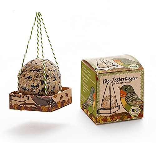 Die Stadtgärtner Friandises gourmets bio I Boulettes de nourriture toutes saisons pour oiseaux sauvages I Nourriture pour oiseaux sauvages I Nourriture pour les merles, rouge-gorges, mésanges, etc. I