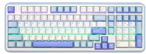 EPOMAKER TH99 Tri-Mode Wireless Mechanical Keyboard with 8000mAh Battery, Hot Swappable Custom RGB Gaming Keyboard with Numpad, Gasket Creamy for PC/Mac/Office (Blue&White, Sea Salt Silent)