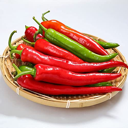 Paprika Samen Chilisamen Jalapeno Samen, Gemüsesamen Bio Saatgut Kletterpflanzen, Gemüsesamen Wintergemüse Samen Pflanzensamen Hochbeett - 100 Chili Samen (Mehrfarbig)