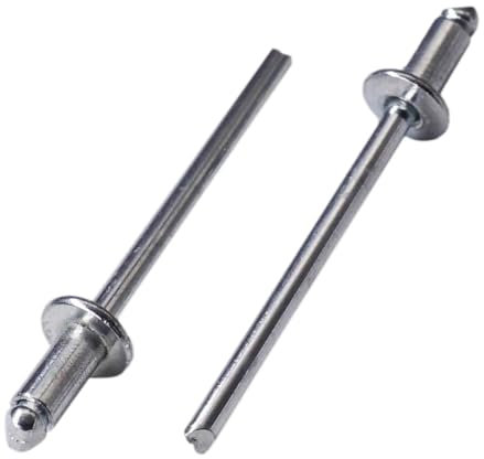 SKIR'CO 100 remaches ciegos de acero chapado en zinc de 3 x 6 mm, mandril de acero, remaches pop, cabeza de cúpula, remaches DIN 7337